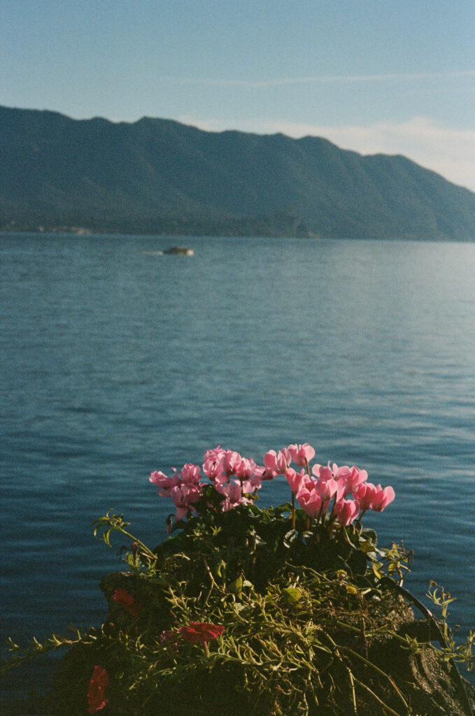 Lago Maggiore Wedding Details